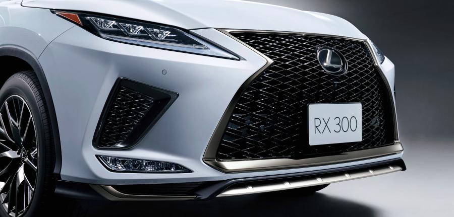 Детали экстерьера Lexus RX300 F-Sport 2019 года  (JP) (фото 4 из 5)
